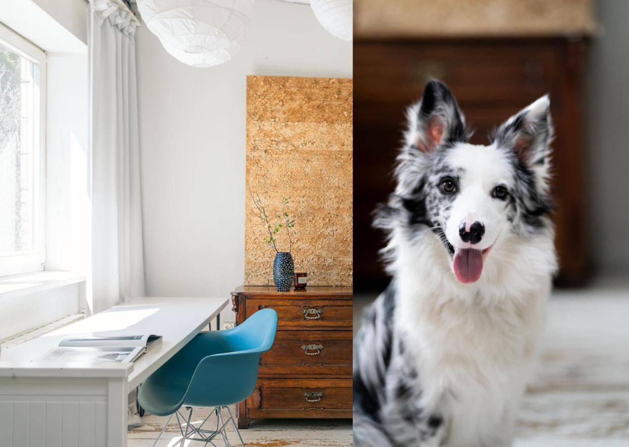 White Loft Stare Bielany Vintage Slow Warsaw Luaran gambar